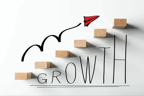 Customer Growth Strategy