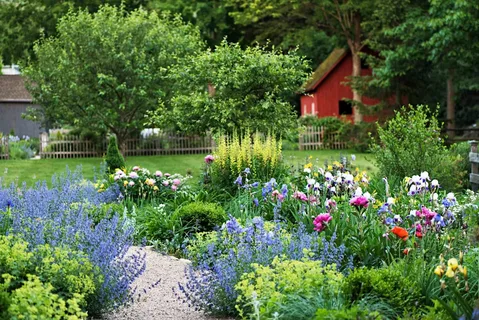 Colorful Flower Garden