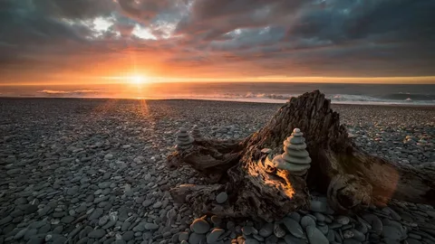 Amazing Nature Photography