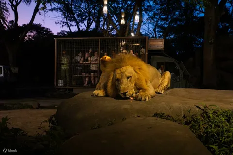 Wildlife Nature Adventure