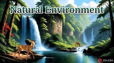Peaceful Natural Environment